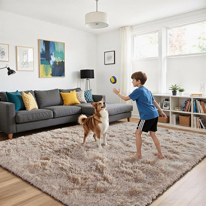 Fluffy Rug Shag Area Rug, Beige 2x4 Area Rugs for Bedroom, Small Bedside Rug, Soft Fluffy Shag Entryway Throw Rugs for Living Room Bedroom Room Home Decor