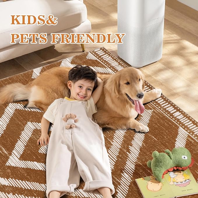 Boho Area Rugs 4x6ft Non Slip, Brown Washable Rug for Living Room, Soft Bedroom Carpet, Low Pile Moroccan Area Floor Carpets for Dining Room Kids Nursery Farmhouse
