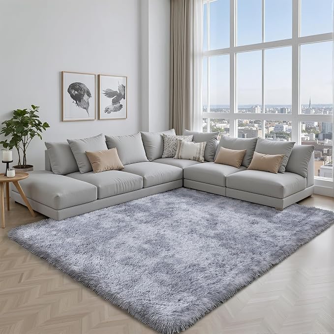 Area Rug for Living Room Bedroom: 4x6 Light Grey Soft Fluffy Shag Upgrade Non-Slip High Pile Carpet Large Fuzzy Plush Indoor Floor Decor Shaggy Rug for Kid Boys Girls Playroom Nursery Modern Home