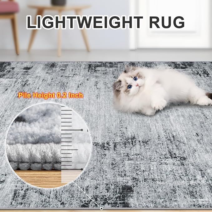 Area Rugs 10x12 Living Room - Washable Rug Modern Abstract Soft Large Neutral Non-Slip Carpet Indoor Floor Thin Carpets for Bedroom Dining Room Farmhouse Nursery Home Office Black