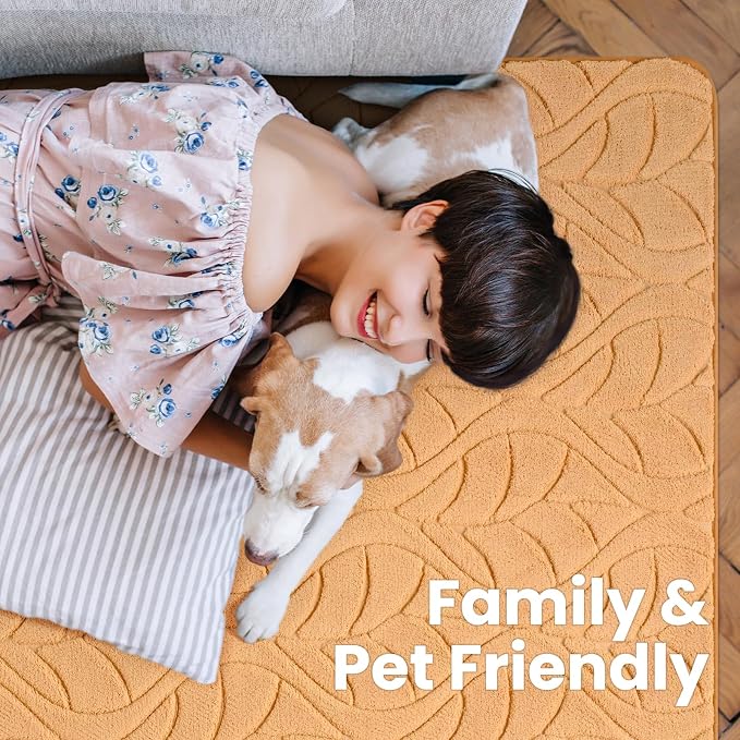 Macgace Ultra Soft Area Rug for Living Room, 5x7 Apricot Tan Shag Rugs | Washable Non-Slip Backing Medium Pile Modren Fuzzy Carpet for Kids Room, Girls Bedroom, Classroom, Dorm