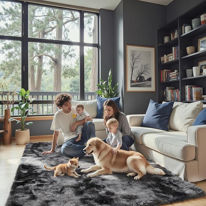 Rugs for Bedroom 4x6, Alfombras para Salas Shag Plush Soft Area Rug, Shaggy Carpets for Livingroom,Home Decor Aesthetic(4 x 6, Dark Grey Tie-Dyed)