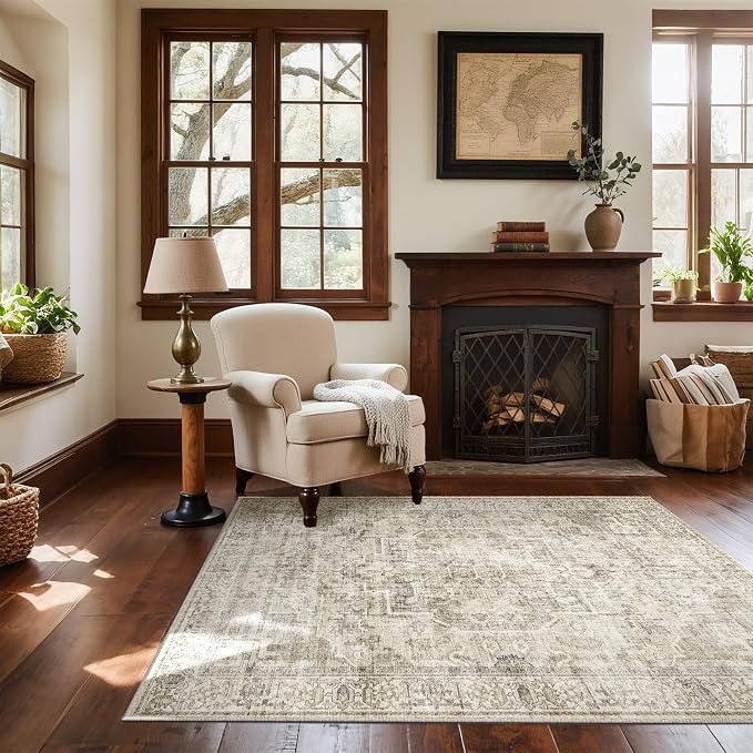 Machine Washable Throw Rugs for Entryway: Door Mat Indoor Entrance 3x5 Small Rug Stain Resistant Non-Slip Low Pile Soft Carpet for Kitchen Front Door Indoor Entry Bathroom Bedroom