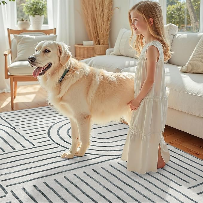 DCX Abstract Machine Washable 9x12 Rug, Gray Modern Accent Rug for Living Room, Soft Low Pile Non Slip Carpet, Kid & Pet Friendly Stain Resistant Rug for Bedroom Dining Room Office