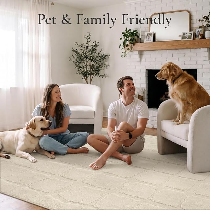 GENIMO Soft Washable Area Rugs 5x7, 3D Modern Tile Design Rugs for Living Room, High-Low Pile Textured Non Slip Fuzzy Shag Carpet, Non-Shedding Stain Resistant Beige Carpet for Bedroom, Dining Room