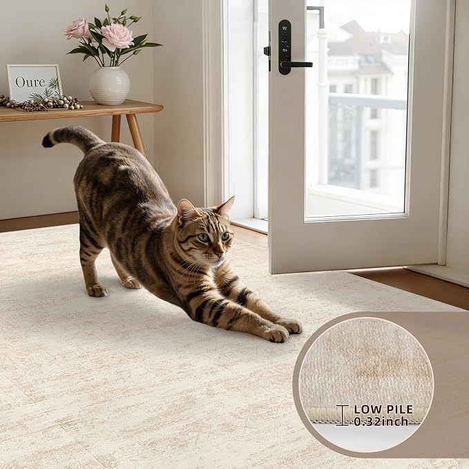 4x6 Area Rugs for Living Room: Vintage Boho Neutral Washable Rug Indoor Soft Large Area Rug Carpet for Bedroom Nursery Farmhouse Dining Room Office Floor Non-Slip Low Pile Under Table Rug Retro Beige