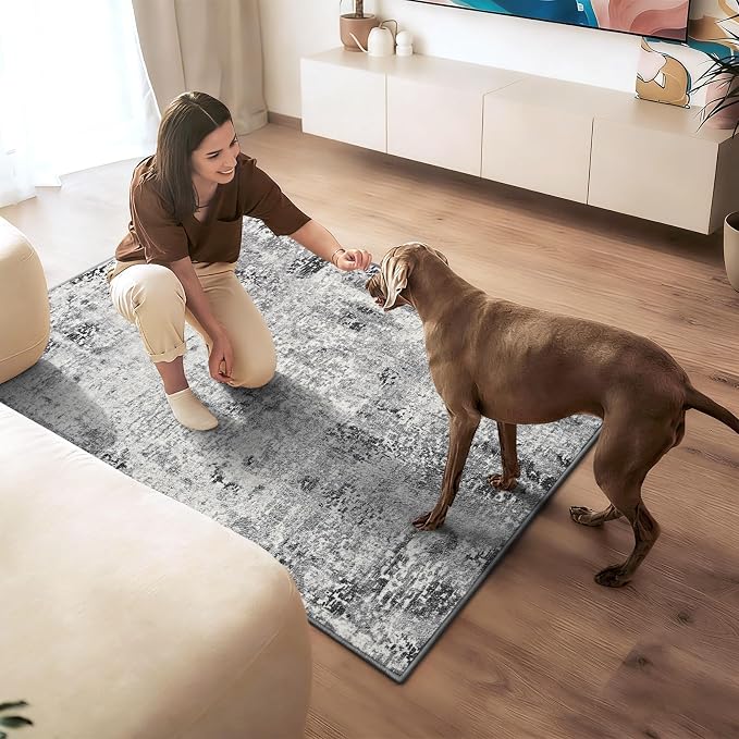 Entryway Rug 3x4 Grey Bedroom Area Rug Washable Non Slip Abstract Boho Rugs for Indoor Entry, Kitchen, Classroom, Bathroom, Kids Girls Room, Office, College Dorm Small Carpet