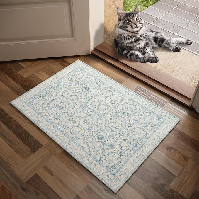 Machine Washable Entryway Small Area Rugs: Soft Non-Slip Low Pile Door Mat Indoor Entrance 2x3 ThrowRug for High-Traffic Areas Kitchen, Hallway, Farmhouse Decor