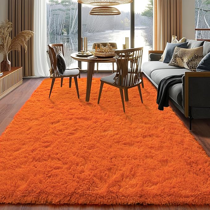 Dssimo Orange Rug for Bedroom Living Room, 4x6 Soft Shaggy Area Rugs | Large Plush Fluffy Upgrade Non-Slip Burnt Orange Rug for Nursery Kids Room Dorm Room Home Decor, Indoor Plush Floor Carpet