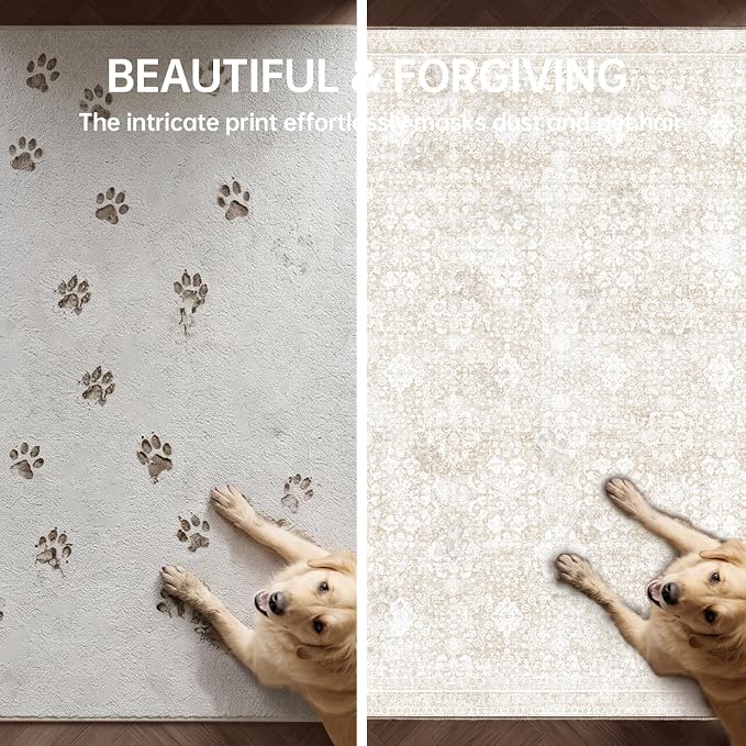 Sasttie 2x3 Rug, Ultra-Soft Washable Rug, Low Pile Foldable Thin Carpets with Non-Slip Backing, Skin-Friendly Stain Resistant Carpet for Living Room, Bedroom, Kitchen, Dorm, 2x3, Cream
