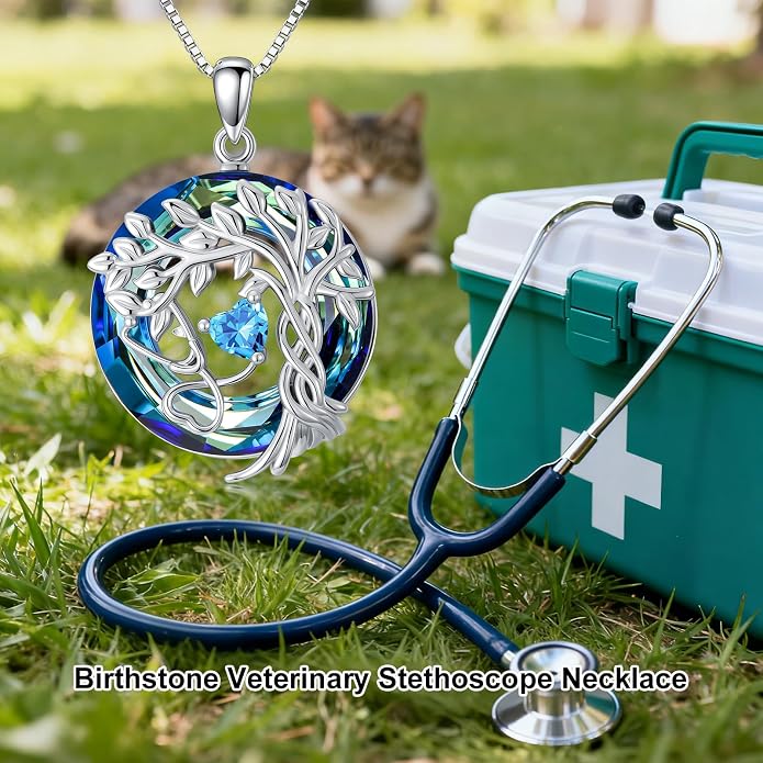 Birthstone Veterinary Stethoscope Necklace 925 Sterling Silver Nurse Vet Pendant with Dog Paw Nurse Jewelry Gifts for Veterinarian Nurse Women Veterinarian Gifts