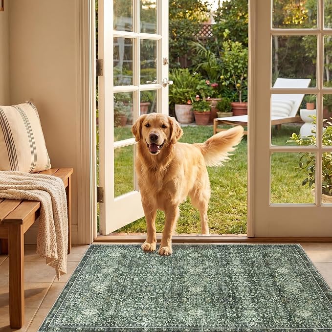 Sasttie 2x3 Rug, Ultra-Soft Washable Rug, Low Pile Foldable Thin Carpets with Non-Slip Backing, Skin-Friendly Stain Resistant Carpet for Living Room, Bedroom, Kitchen, Dorm, 2x3, Dark Green
