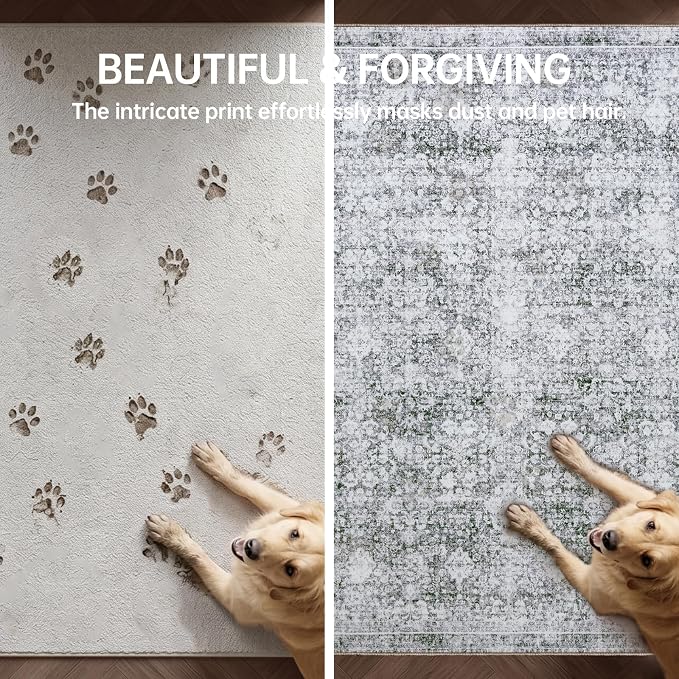 Sasttie 2x3 Rug, Ultra-Soft Washable Rug, Low Pile Foldable Thin Carpets with Non-Slip Backing, Skin-Friendly Stain Resistant Carpet for Living Room, Bedroom, Kitchen, Dorm, 2x3, Light Grey