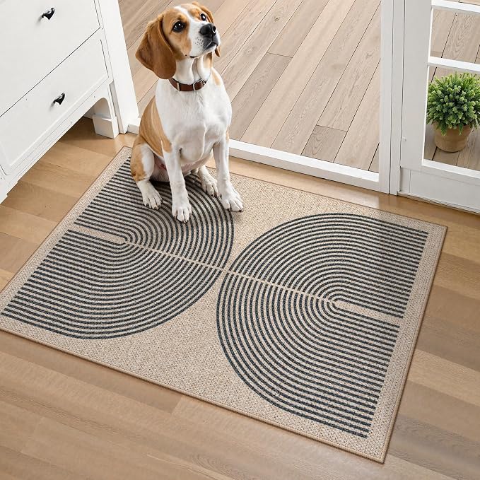 Lahome Enfys Rainbow Easy Jute Rug, 20"x32" Front Door Welcome Mat Non Slip Entry Way Rugs Indoor, Farmhouse Nature Washable Non Shedding Low Pile Floor Carpet for Porch