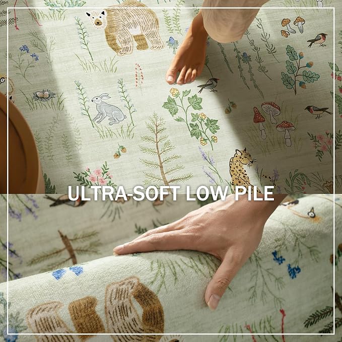 5x7 Area Rugs for Living Room: Washable Rug for Bedroom Vintage Rugs Stain Resistant Non Slip Low Pile Soft Lightweight Indoor Carpet for Kitchen Dining Room Nursery Kids Room Farmhouse