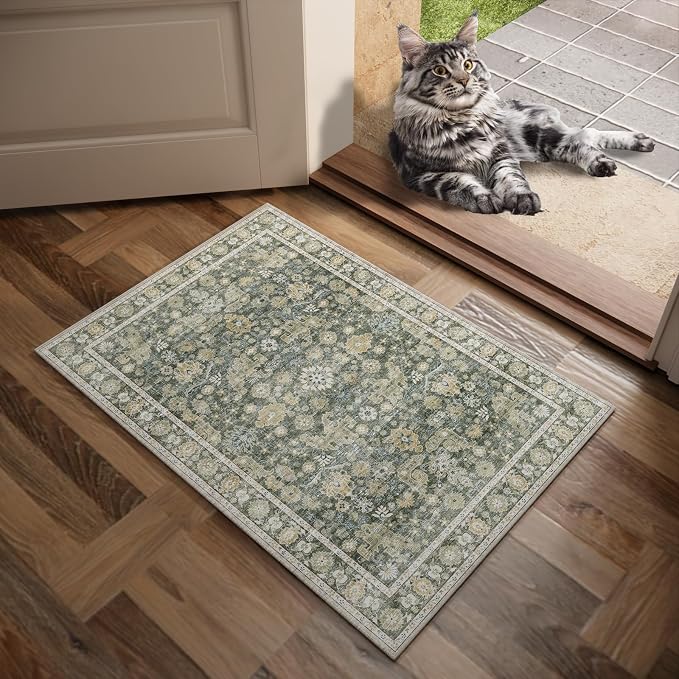 Machine Washable Entryway Small Area Rugs: Soft Non-Slip Low Pile Door Mat Indoor Entrance 2x3 ThrowRug for High-Traffic Areas Kitchen, Hallway, Farmhouse Decor