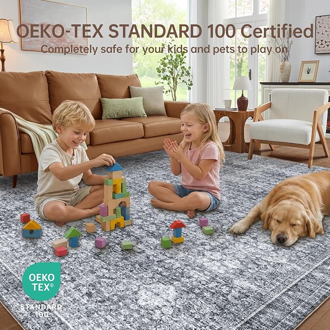 Sasttie 8x10 Area Rugs, Ultra-Soft Washable Rug, Low Pile Foldable Thin Carpets with Non-Slip Backing, Skin-Friendly Stain Resistant Carpet for Living Room, Bedroom, Kitchen, Dorm, 8x10, Black Grey