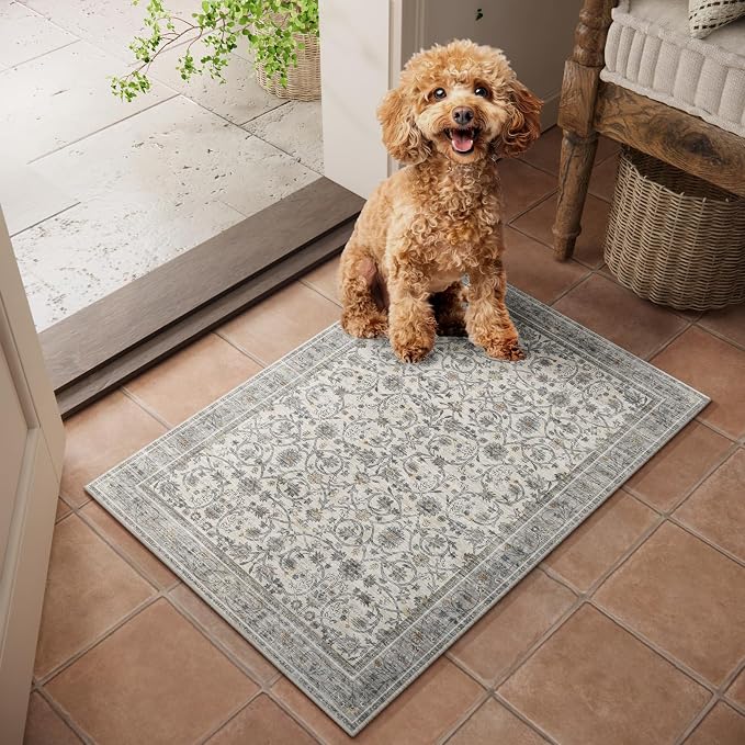 Machine Washable Entryway Small Area Rugs: Soft Non-Slip Low Pile Door Mat Indoor Entrance 2x3 ThrowRug for High-Traffic Areas Kitchen, Hallway, Farmhouse Decor