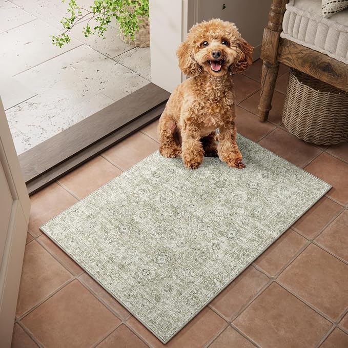 Machine Washable Entryway Small Area Rugs: Soft Non-Slip Low Pile Door Mat Indoor Entrance 2x3 ThrowRug for High-Traffic Areas Kitchen, Hallway, Farmhouse Decor