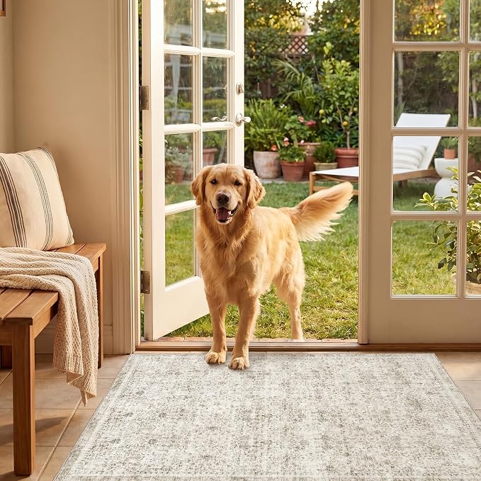 Sasttie 2x3 Rug, Ultra-Soft Washable Rug, Low Pile Foldable Thin Carpets with Non-Slip Backing, Skin-Friendly Stain Resistant Carpet for Living Room, Bedroom, Kitchen, Dorm, 2x3, Beige