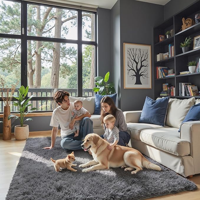 Small Rug Throw Rugs for Bedroom, Mini Area Rug, Fluffy Grey Carpet, Affordable Door Entryway Indoor Inside Front Entrance Dog 2x3 Mat, Home Decor Aesthetic(2 x 3, Dark Grey)