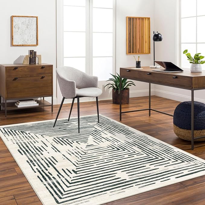 BLISSA 4x6 Washable Area Rug - Soft Modern Throw Rugs for Living Room Non-Slip Ultra-Thin Black White Abstract Striped Geometric Rugs for Bedroom Dining Room Entryway Foyer Nursery Dorm Mudroom Carpet