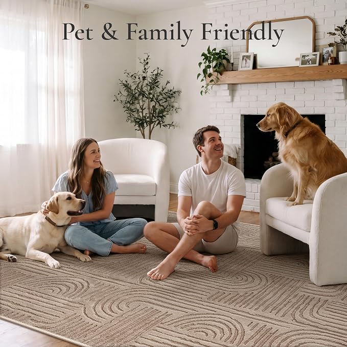 GENIMO Soft Washable Area Rugs 8x10, 3D Modern Arch Pattern Living Room Rug, High-Low Pile Textured Non Slip Carpet, Non-Shedding Stain Resistant Light Brown Rugs for Bedroom, Dining Room, Nursery
