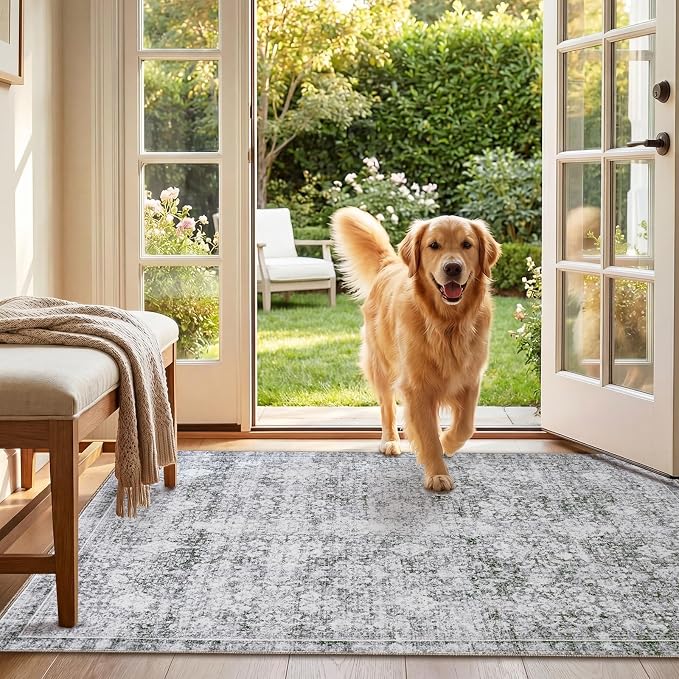 Sasttie 3x5 Rug, Ultra-Soft Washable Rug, Low Pile Foldable Thin Carpets with Non-Slip Backing, Skin-Friendly Stain Resistant Carpet for Living Room, Bedroom, Kitchen, Dorm, 3x5, Light Grey