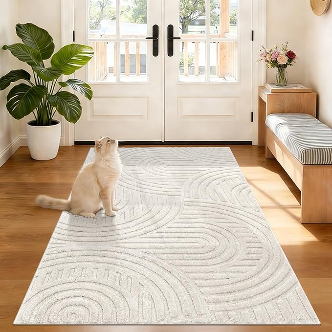 Pauwer Area Rugs for Living Room 3x5, Non Slip Washable Modern Rug, Beige | Soft Fluffy, Boho Neutral, Indoor Floor Carpet, For Bedroom Entryway Dining Room Nursery Farmhouse