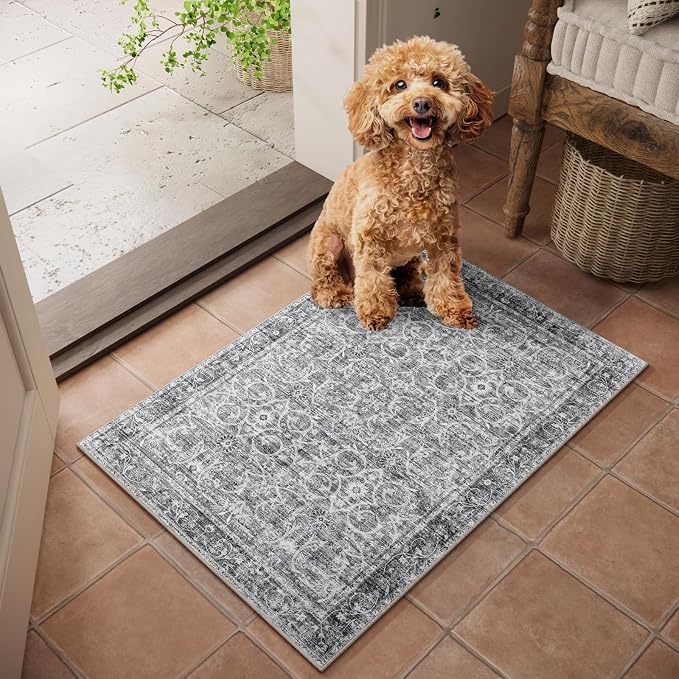 Machine Washable Entryway Small Area Rugs: Soft Non-Slip Low Pile Door Mat Indoor Entrance 2x3 ThrowRug for High-Traffic Areas Kitchen, Hallway, Farmhouse Decor