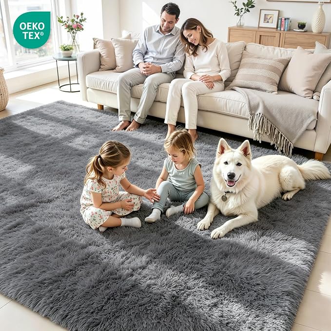4x6 Area Rug for Living Room, Ultra Soft Fluffy Light Grey Rugs for Bedroom, Non Slip Large Shag Carpet, Fuzzy Plush Nursery Rug, Thick Washable Indoor Floor Carpets for Kids Office Dorm Home Decor
