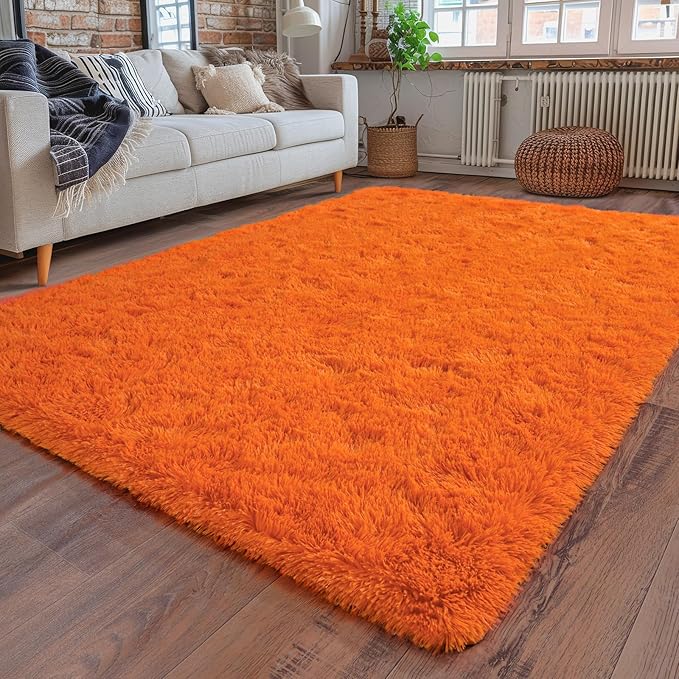 Dssimo Orange Rug for Bedroom Living Room, 4x6 Soft Shaggy Area Rugs | Large Plush Fluffy Upgrade Non-Slip Burnt Orange Rug for Nursery Kids Room Dorm Room Home Decor, Indoor Plush Floor Carpet