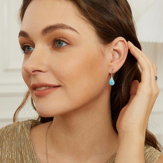 Natural Abalone Dangle Earrings with Halo CZ Leverback Earrings for Women Hypoallergenic Fashion Jewelry