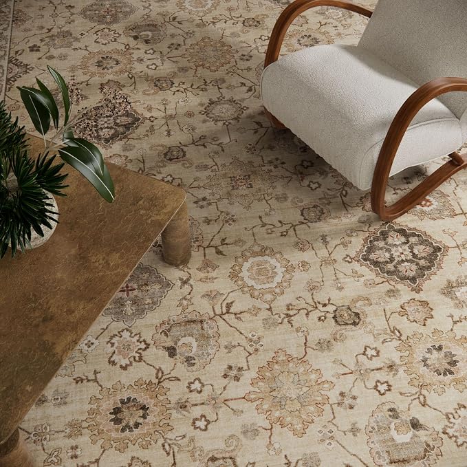 Machine Washable Rug for Living Room: 5x7 Area Rugs Boho Vintage Rug Stain Resistant Non Slip Low Pile Soft Lightweight Carpets for Bedroom Kitchen Dining Room Nursery Kids Room Farmhouse