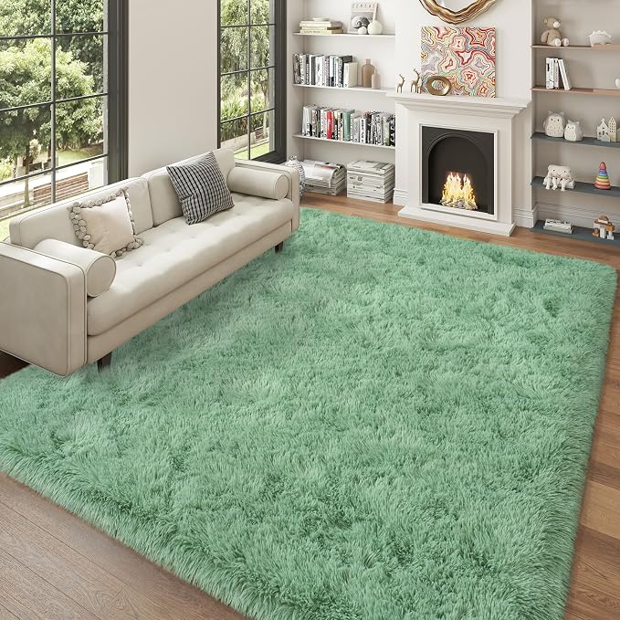 Soft Fluffy Sage Green Rug for Living Room Bedroom, 4x6 Shaggy Area Rugs | Non-Slip Mint Green Rug for Nursery Kids Room Dorm Room Home Decor, Indoor Plush Floor Carpet