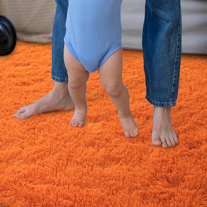 Dssimo Orange Rug for Bedroom Living Room, 4x6 Soft Shaggy Area Rugs | Large Plush Fluffy Upgrade Non-Slip Burnt Orange Rug for Nursery Kids Room Dorm Room Home Decor, Indoor Plush Floor Carpet