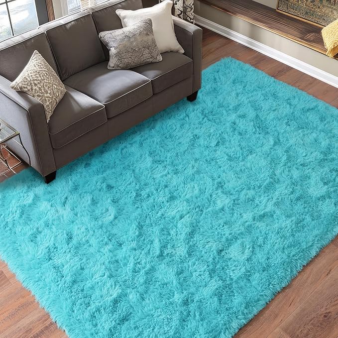 Dssimo Teal Blue Rug for Bedroom Living Room, 4x6 Soft Shag Teal Area Rugs | Plush Fluffy Upgrade Non-Slip Turquoise Rug for Nursery Kids Room Dorm Room Home Decor, Indoor Plush Floor Carpet