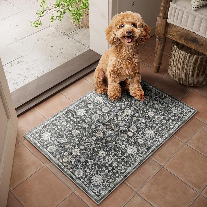 Machine Washable Entryway Small Area Rugs: Soft Non-Slip Low Pile Door Mat Indoor Entrance 2x3 ThrowRug for High-Traffic Areas Kitchen, Hallway, Farmhouse Decor
