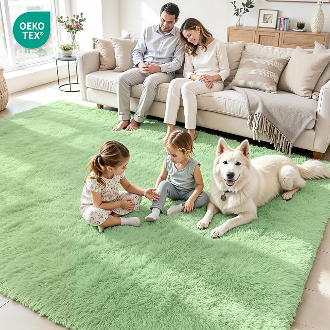 6x9 Area Rug for Living Room, Ultra Soft Fluffy Light Green Rugs for Bedroom, Non Slip Large Shag Carpet, Fuzzy Plush Nursery Rug, Thick Washable Indoor Floor Carpets for Kids Office Dorm Home Decor