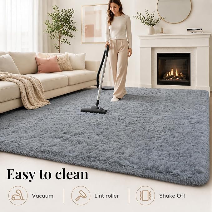Area Rug for Living Room Bedroom: 4x6 Grey Soft Fluffy Shag Upgrade Non-Slip High Pile Carpet Large Fuzzy Plush Indoor Floor Decor Shaggy Rug for Kid Boys Girls Dorms Playroom Nursery Modern Home