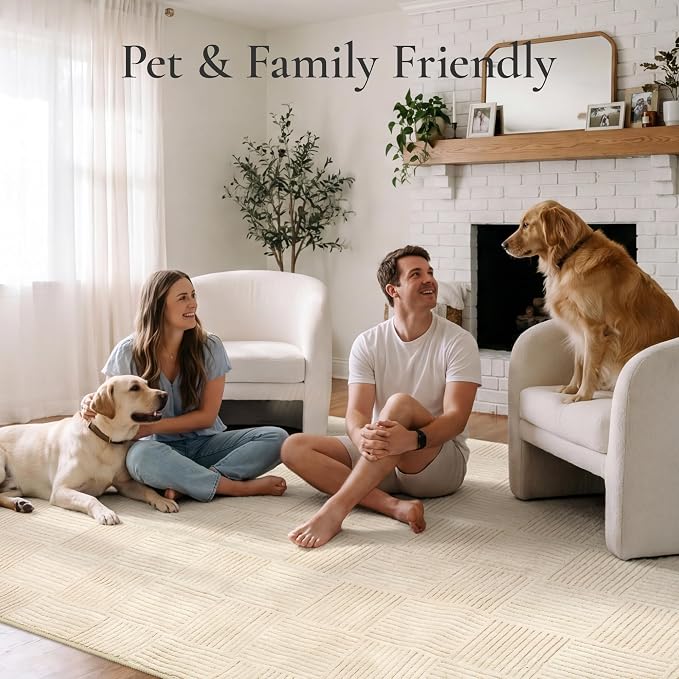 GENIMO Soft Washable Area Rugs 5x7, 3D Modern Grid Design Rugs for Living Room, High-Low Pile Textured Non Slip Fuzzy Shag Carpet, Non-Shedding Stain Resistant Beige Carpet for Bedroom, Dining Room