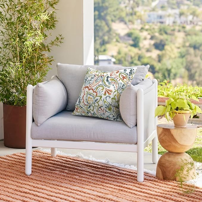 Outdoor 20x20 Inch Throw Pillows with Inners, Square Pillows Decorative Set of 2 for Home Garden Furniture, Paisley Botanical