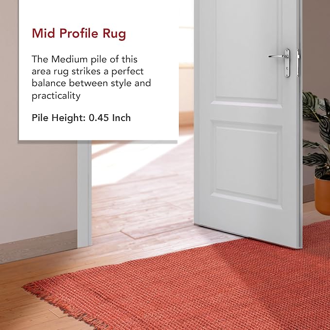 nuLOOM Daniela Brick Solid Flatweave Area Rug, 6' x 9'