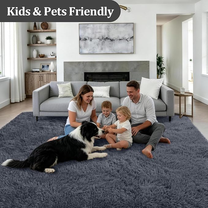 Fluffy 4x6 Area Rugs for Living Room Bedroom: Ultra Soft Shag Rug Non-Slip Non-Shedding Small Plush Bedside Rug Indoor Floor Carpets for Kids Room Playroom Entryway Nursery Dorms Home Decor Grey