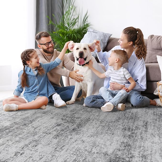 9x12 Area Rugs for Living Room Rug Washable: Modern Large Rug for Dining Room Bedroom Carpet Non Slip 9 by 12 Indoor Abstract Nursery Home Office Grey