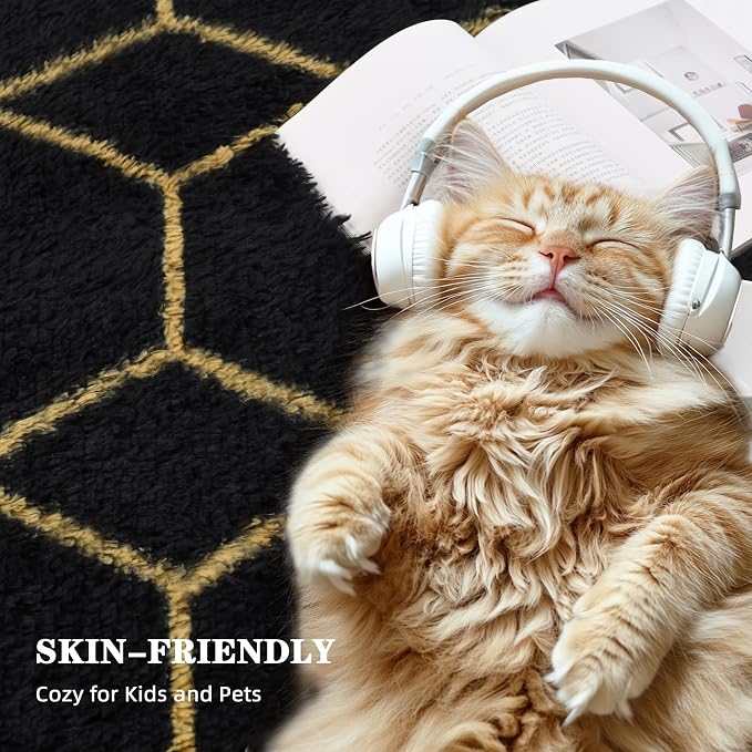 Fluffy Rug for Bedroom, Soft 5x7 Black Shag Plush Geometric Area Rugs | Modern Black and Gold Rug, Non Slip Carpet for Living Room, Aesthetic Home Decor, Fuzzy Floor Mat for Nursery Teen Dorm