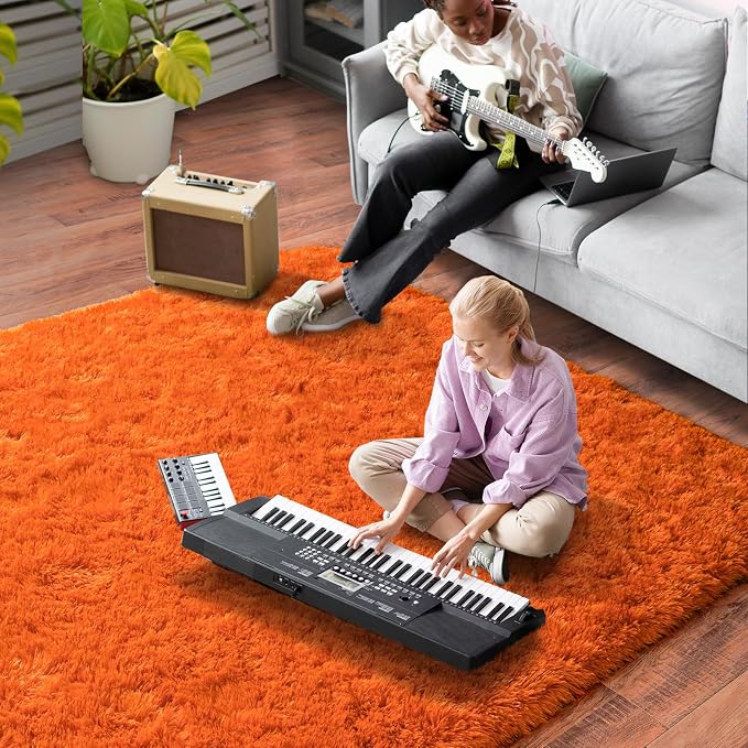 Dssimo Orange Rug for Bedroom Living Room, 4x6 Soft Shaggy Area Rugs | Large Plush Fluffy Upgrade Non-Slip Burnt Orange Rug for Nursery Kids Room Dorm Room Home Decor, Indoor Plush Floor Carpet