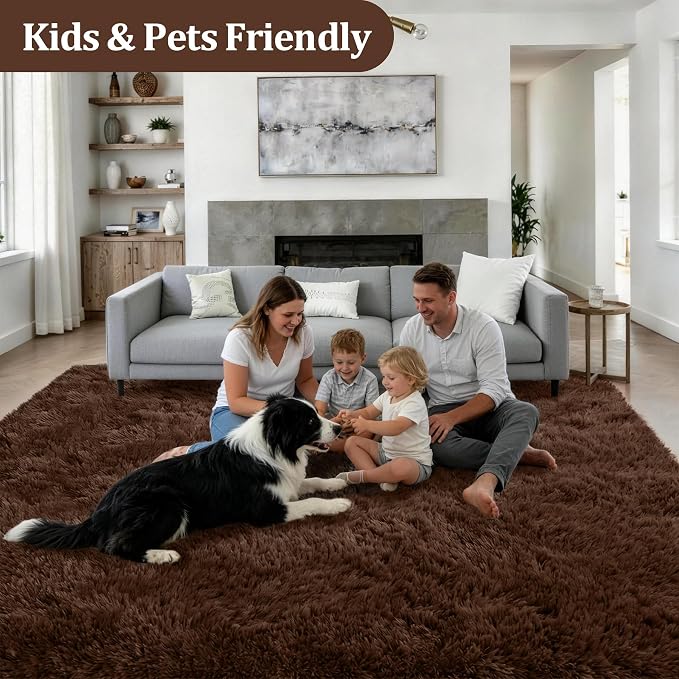 Fluffy 5x7 Area Rugs for Living Room Bedroom: Ultra Soft Shag Rug Non-Slip Non-Shedding Small Plush Bedside Rug Indoor Floor Carpets for Kids Room Playroom Entryway Nursery Dorms Home Decor Brown