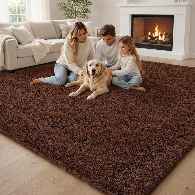 Rugs for Bedroom 4x6, Alfombras para Salas Shag Plush Soft Area Rug, Shaggy Carpets for Livingroom,Home Decor Aesthetic(Coffee, 4 x 6)