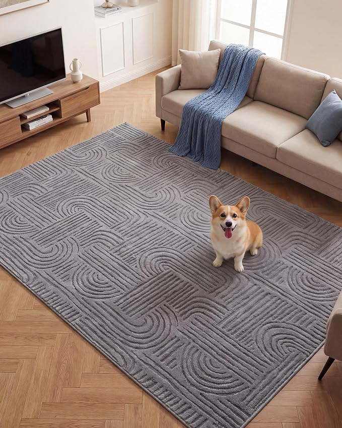 Carvapet 6x9 Area Rug - Grey Modern Geometric Maze 3D High Low Pile Texture Floor Carpet, Luxurious Washable Soft Plush Rug with Skid-Resistant Backing for Living Room Dining Room